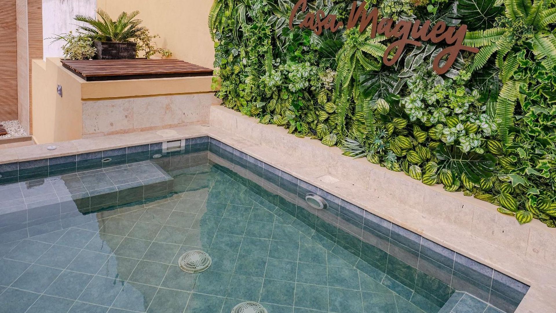 Casa Maguey – Refugio Tropical En El Centro De * Cartagena