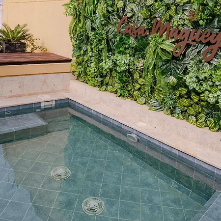 Casa Maguey – Refugio Tropical En El Centro De * Cartagena